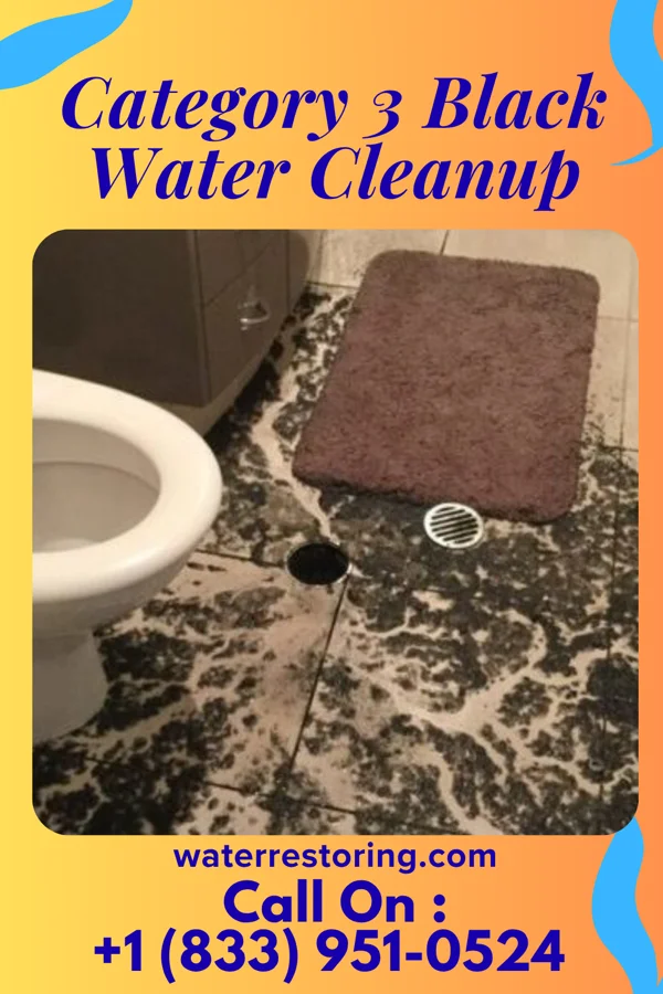 Category 3 Black Water Cleanup in Mountain Lake Park, MD