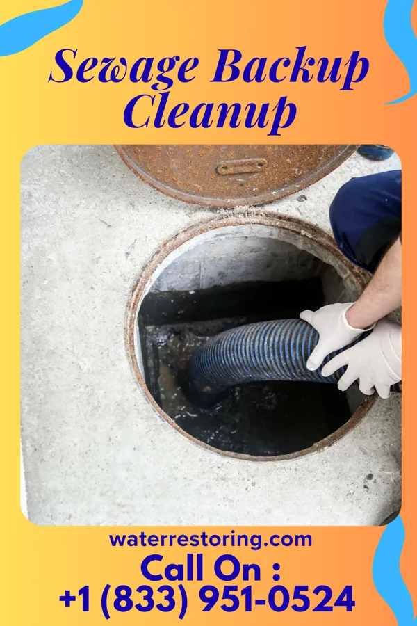 Sewage Backup Cleanup in Mountain Lake Park, MD