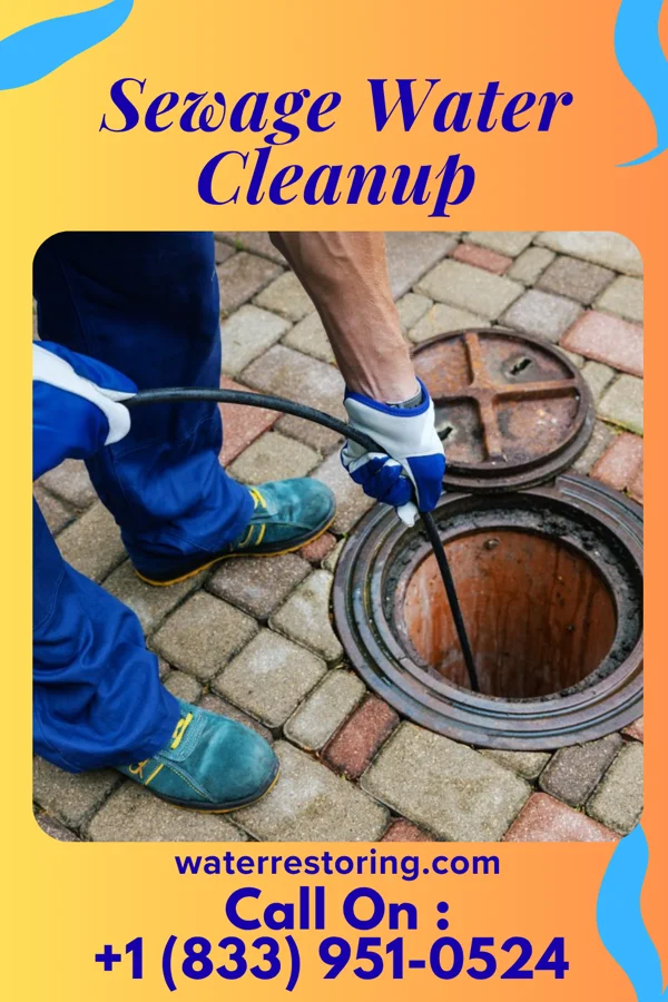 Sewage Water Cleanup in Mountain Lake Park, MD